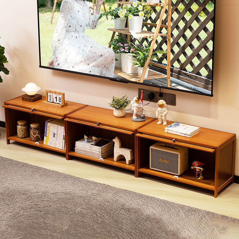 Enclosed Storage TV Console Scandinavian TV Media Console for Living Room