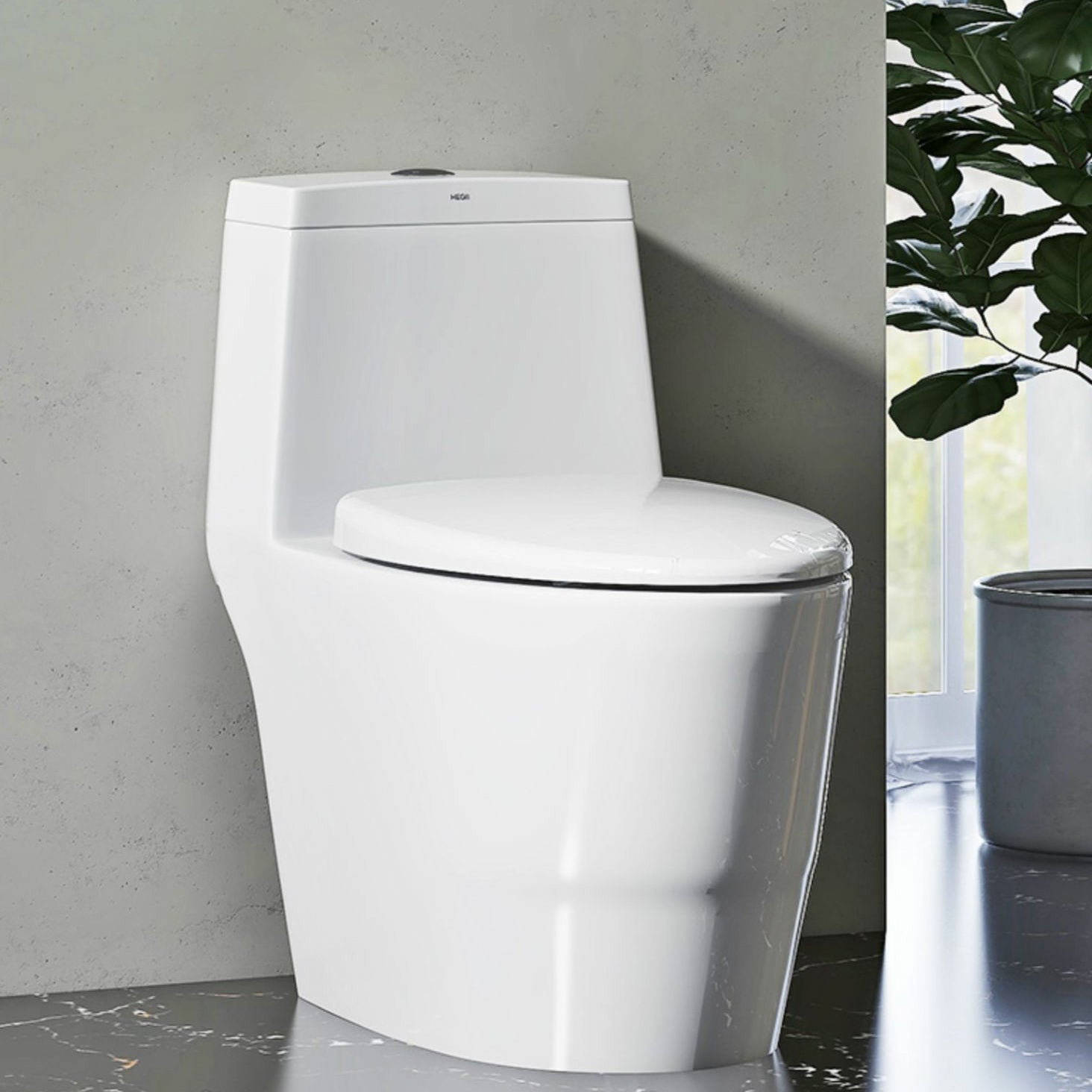 Traditional Porcelain Toilet One Piece Floor Mounted Siphon Jet Toilet