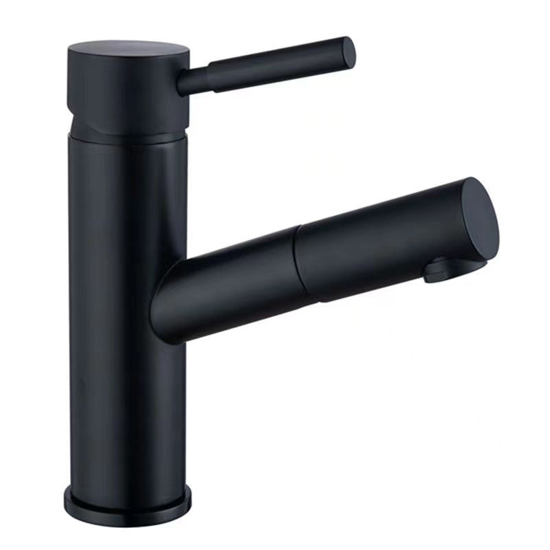 Pull-out Faucet Contemporary Single Handle Faucet with Swivel Spout