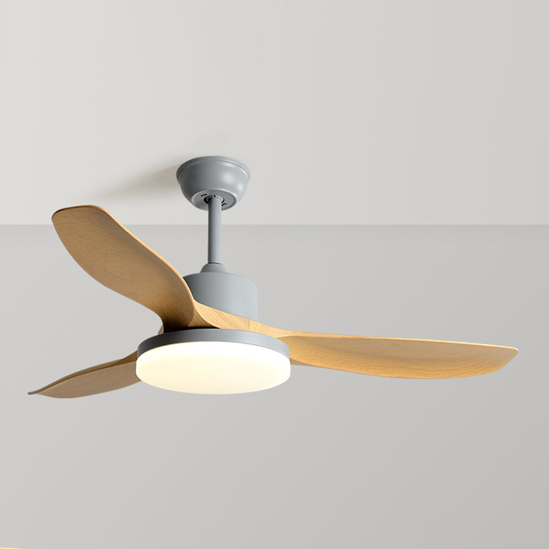 1 - Light Contemporary Ceiling Fan 3 - Blades Fan Light for Room