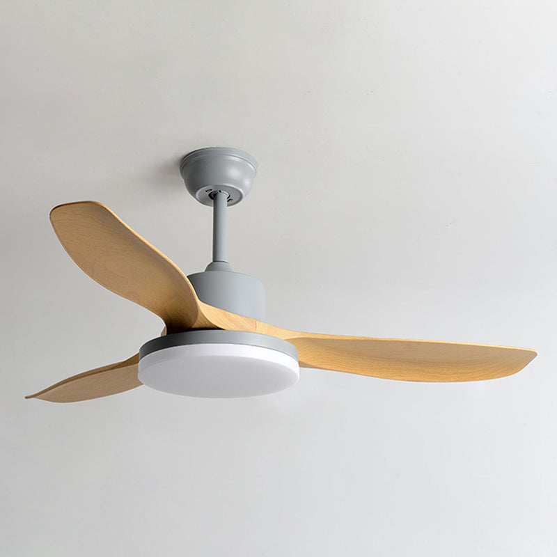 1 - Light Contemporary Ceiling Fan 3 - Blades Fan Light for Room