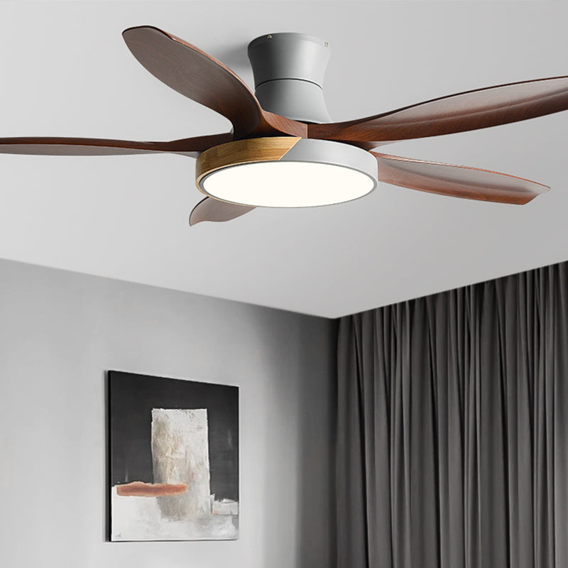 1 - Light Contemporary Ceiling Fan Metal 5 - Blades Fan Lighting Fixture