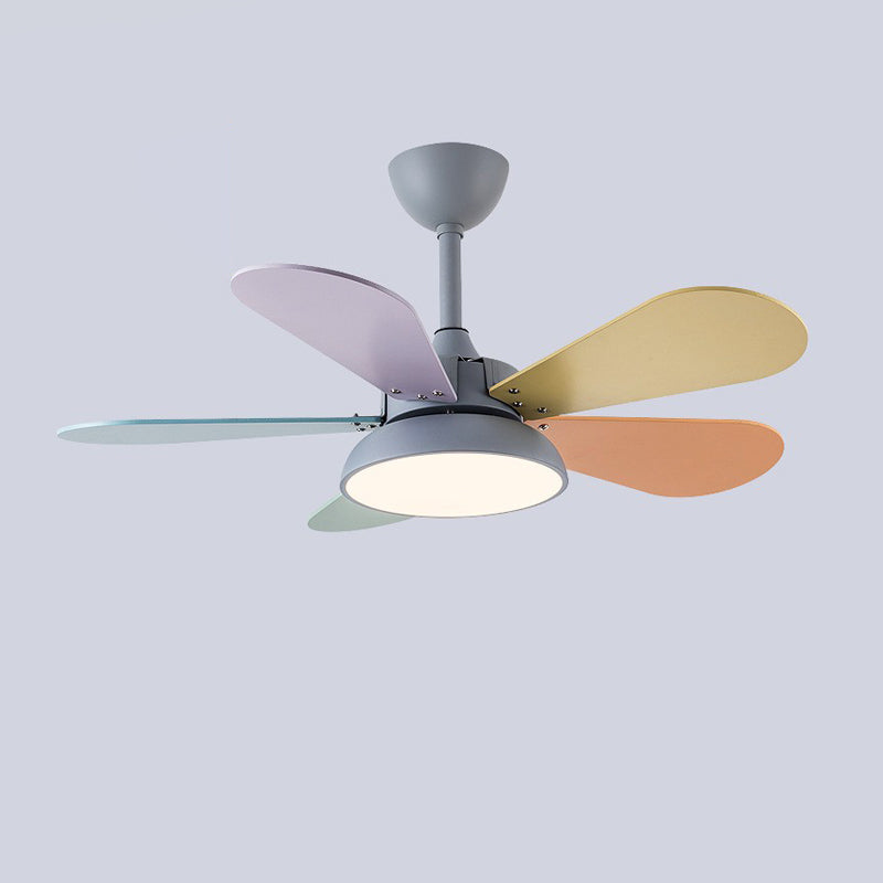 5 - Blades Kids Style Ceiling Fan Metal and Wood Fan Lighting Fixture in Grey / White