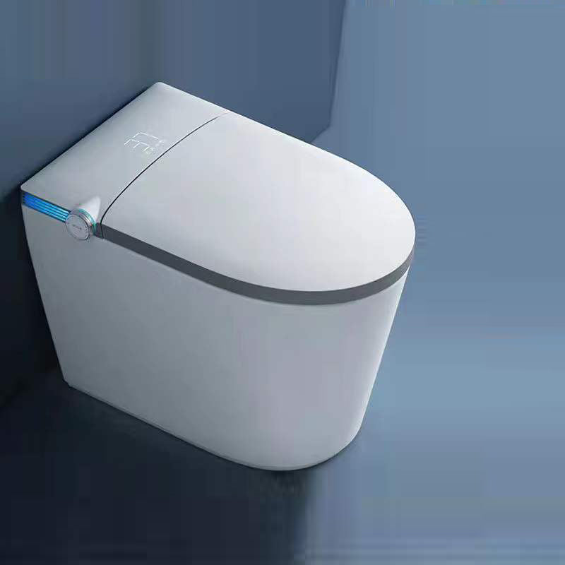 Contemporary One Piece Flush Toilet Floor Mount Urine Toilet with Seat for Washroom