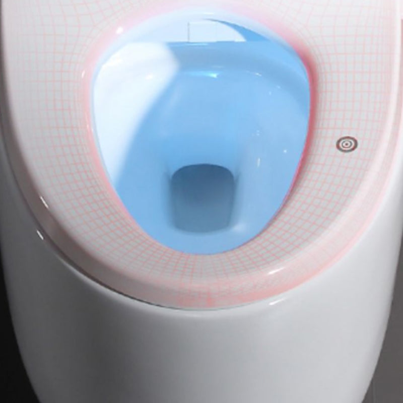 Contemporary Ceramic Flush Toilet Floor Mounted Toilet Bowl for Washroom