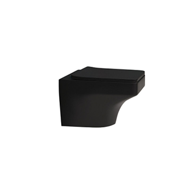 Soft Close Bidet Seat Elongated Wall Mounted Bidet with Bidet And Seat