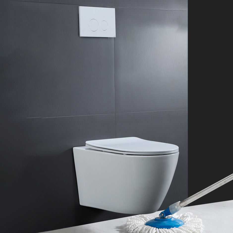 Contemporary All-In-One Flush Toilet Wall Mount Porcelain Toilet