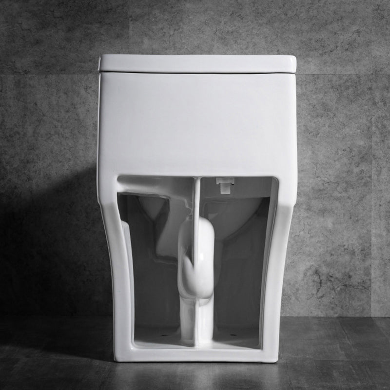 Traditional 1 Piece Flush Toilet Floor Mount Urine Toilet with Seat for Washroom