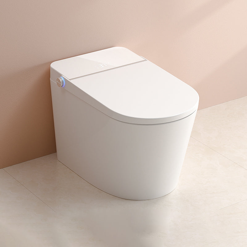 Modern Floor Standing Bidet Elongated Antimicrobial Floor Mount Bidet