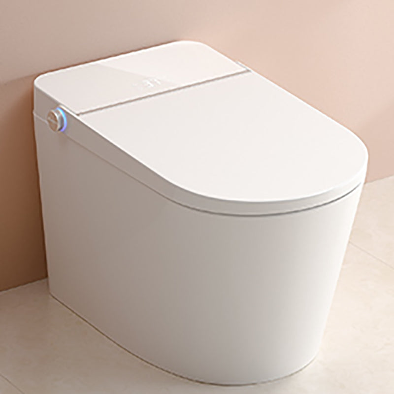 Modern Floor Standing Bidet Elongated Antimicrobial Floor Mount Bidet