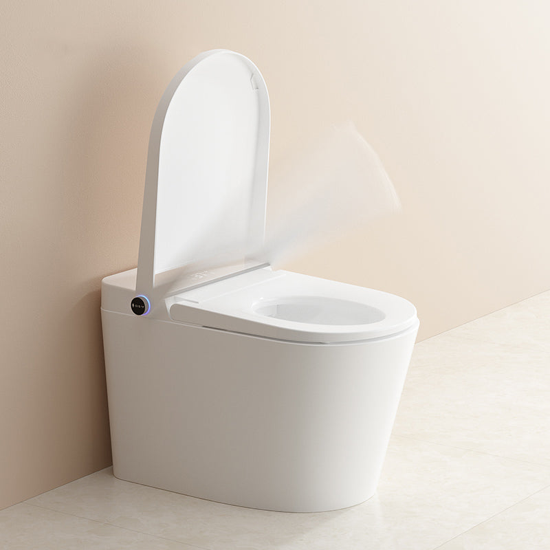 Modern Floor Standing Bidet Elongated Antimicrobial Floor Mount Bidet