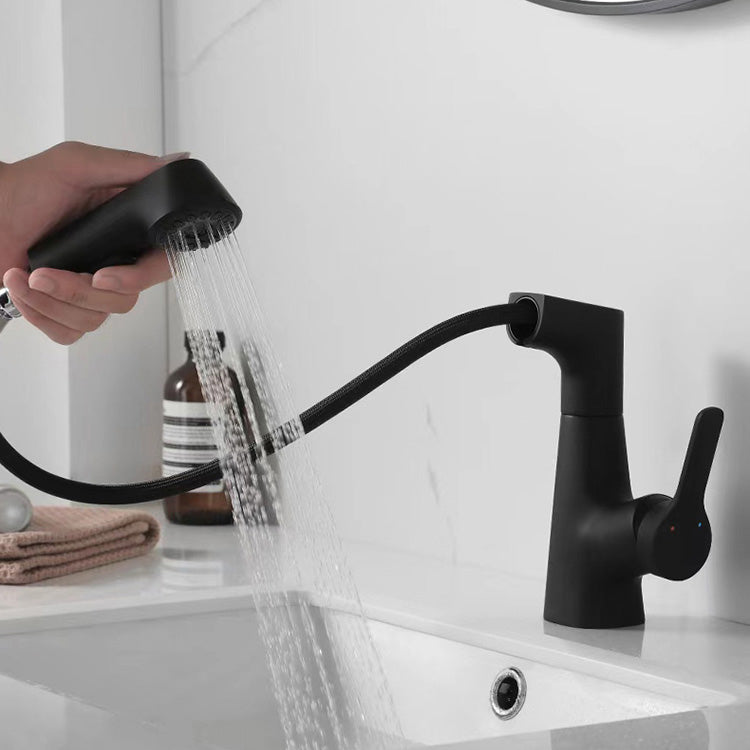 Brass Bathroom Sink Faucet with 1-Handle Swivel Spout Sink Faucet