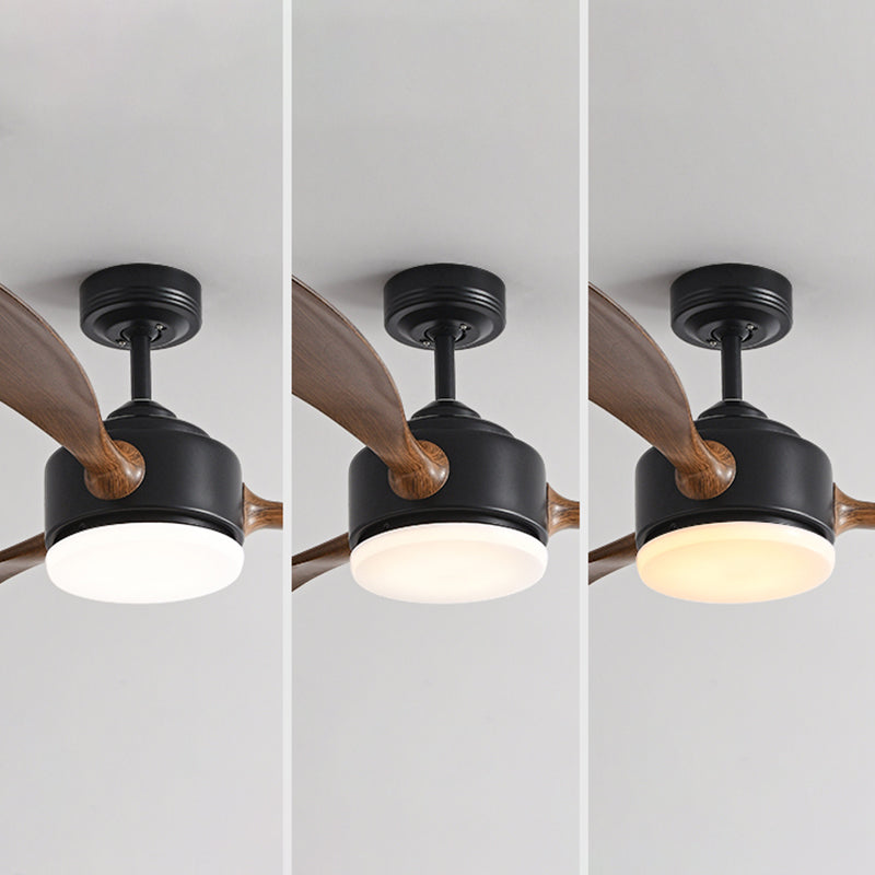 Contemporary LED Ceiling Fan 3-Blade Fan Lighting for Living Room