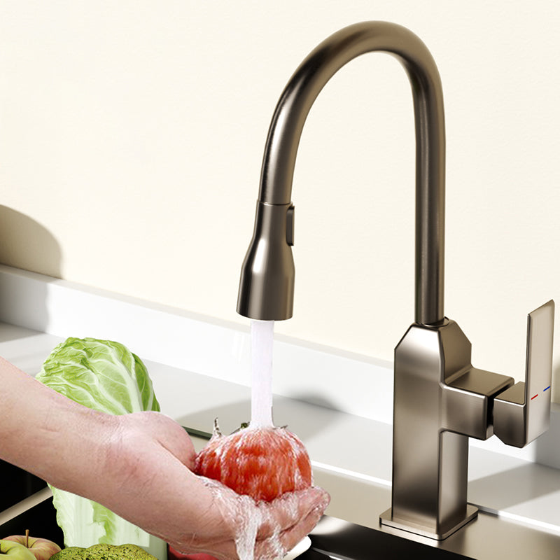 Modern Pull Down Pot Filler  One Handle High Profile Filler with Sprayer