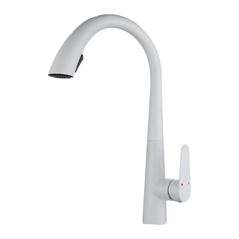 Contemporary High-Arc Kitchen Faucet Swivel Spout with Pull Down Sprayer