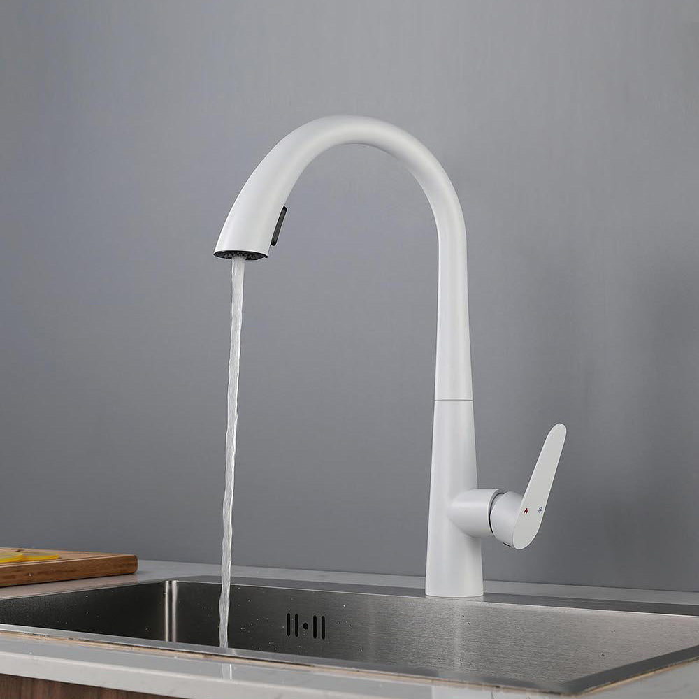 Contemporary High-Arc Kitchen Faucet Swivel Spout with Pull Down Sprayer