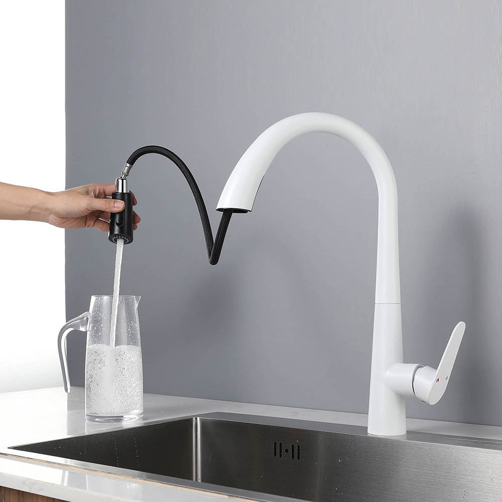 Contemporary High-Arc Kitchen Faucet Swivel Spout with Pull Down Sprayer