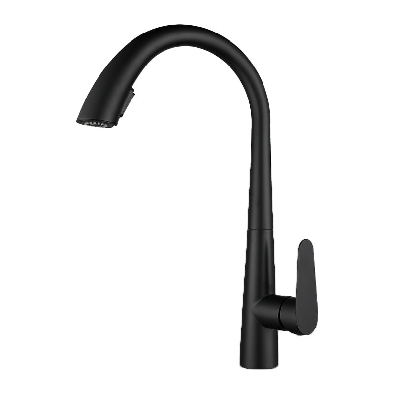 Contemporary High-Arc Kitchen Faucet Swivel Spout with Pull Down Sprayer