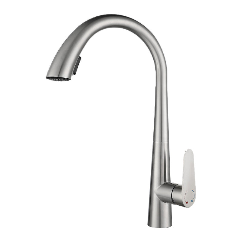 Contemporary High-Arc Kitchen Faucet Swivel Spout with Pull Down Sprayer