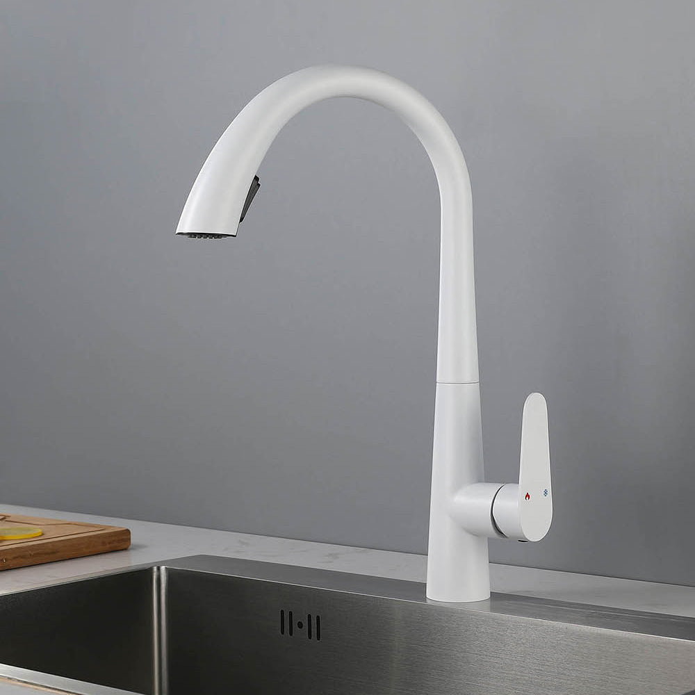 Contemporary High-Arc Kitchen Faucet Swivel Spout with Pull Down Sprayer