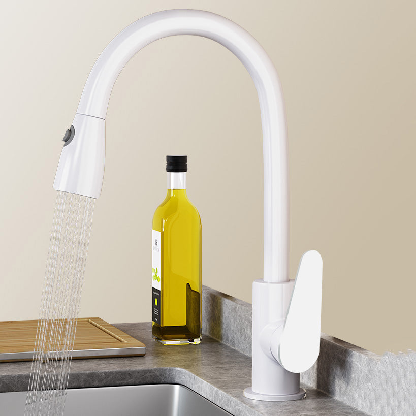 Contemporary Swivel Spout Standard Kitchen Faucet with Pull Down Sprayer