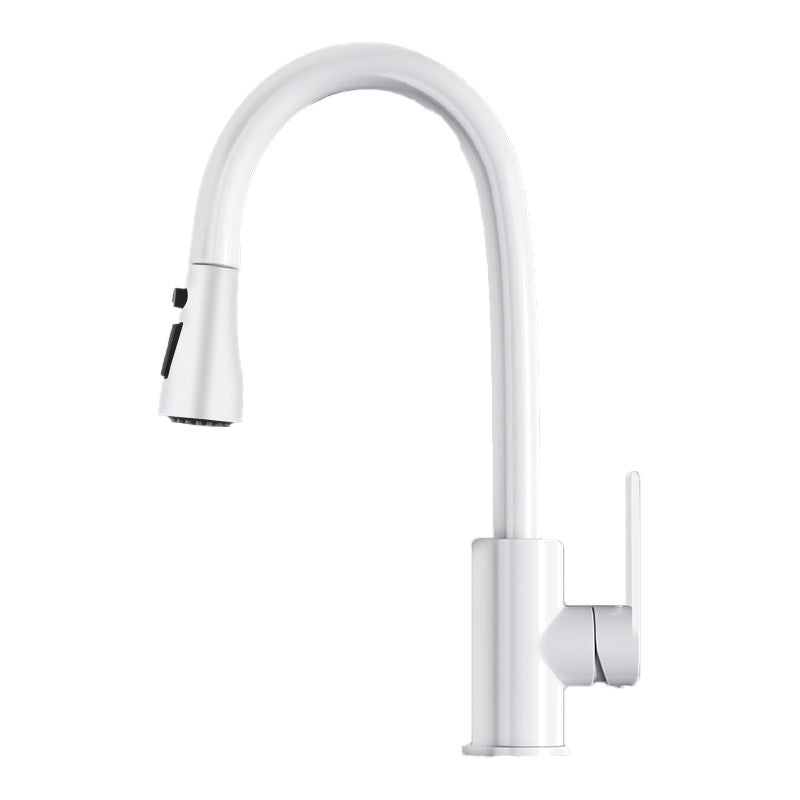 Contemporary Swivel Spout Standard Kitchen Faucet with Pull Down Sprayer