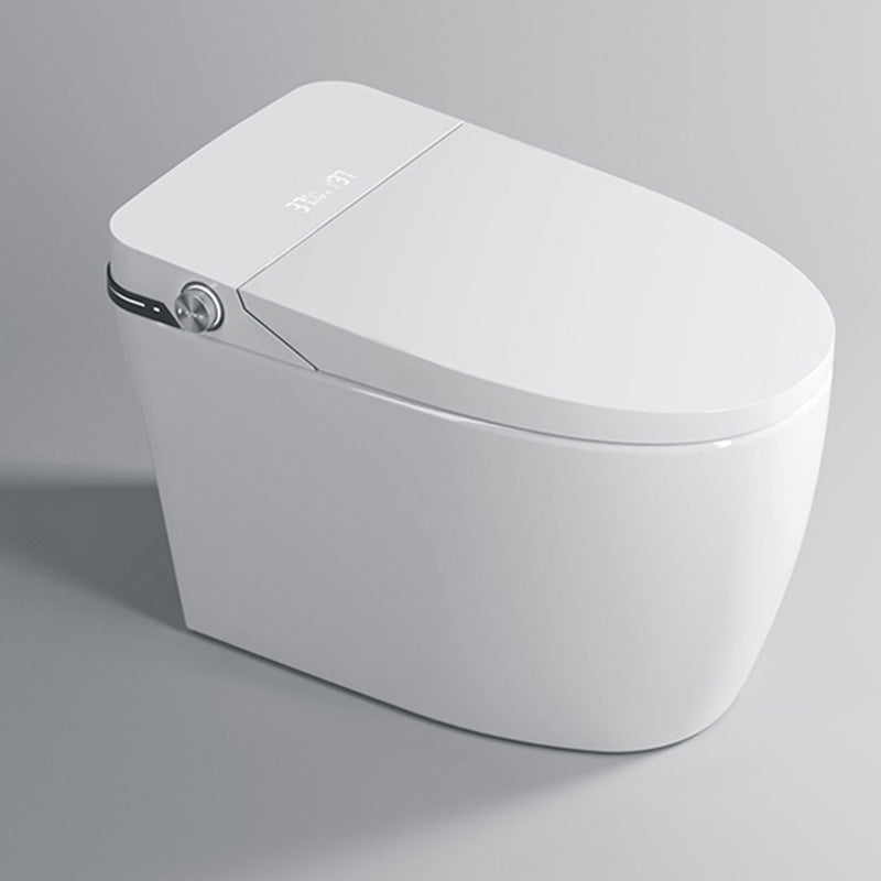 Contemporary White Floor Standing Bidet with Elongated Bowl Shape