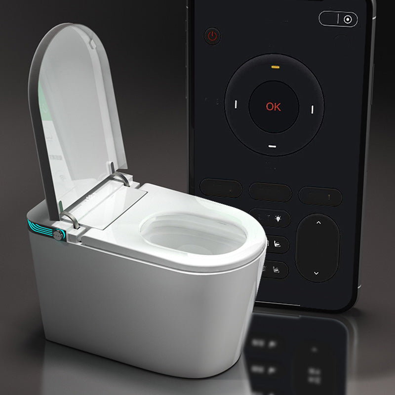 Contemporary White Elongated Floor Standing Bidet With Bidet And Seat