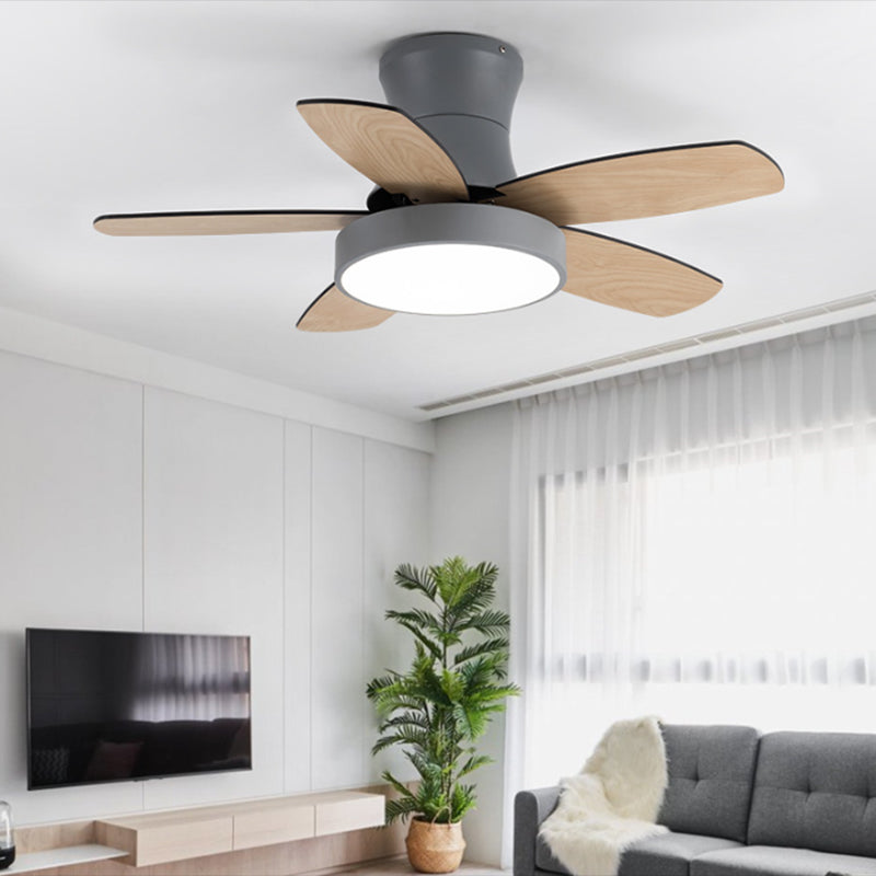 Colorful Ceiling Fan Light Fixture Modern LED Ceiling Lamp for Bedroom