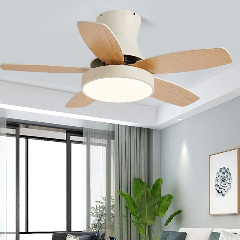 Colorful Ceiling Fan Light Fixture Modern LED Ceiling Lamp for Bedroom