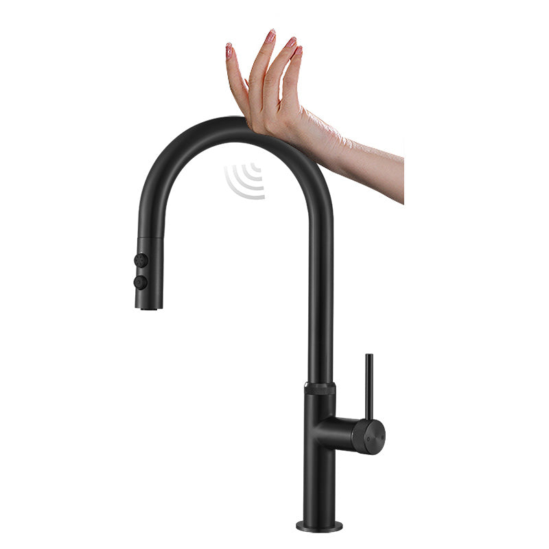 Touch Sensor Kitchen Faucet Swivel Spout with Pull Down Sprayer