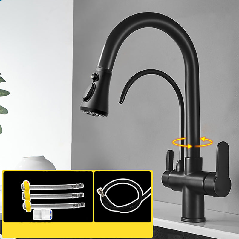 Contemporary Two Handles Kitchen Faucet Double Faucet 1-Hold Faucet