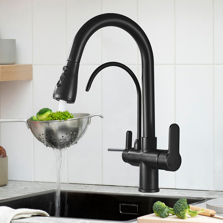 Contemporary Two Handles Kitchen Faucet Double Faucet 1-Hold Faucet