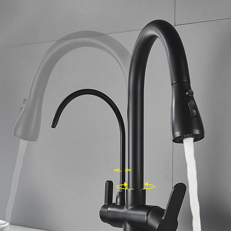 Contemporary Two Handles Kitchen Faucet Double Faucet 1-Hold Faucet