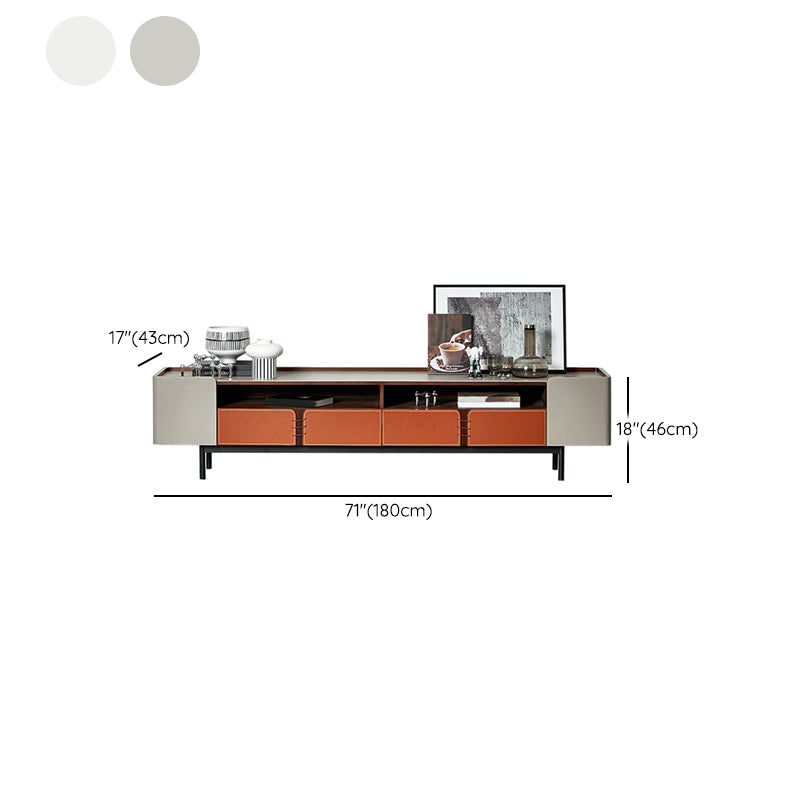 Open Storage TV Media Console Contemporary Media Console with 2/3 Drawers