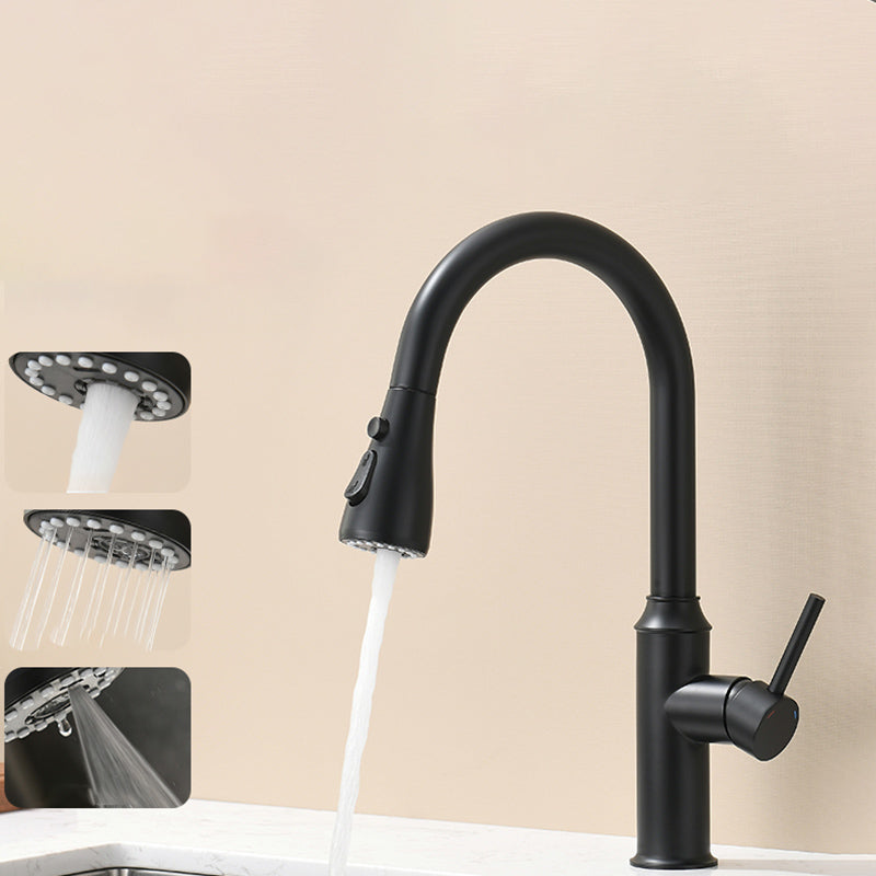 Modern Pull Out Single Rotary Switch Kitchen Faucet High Profile Faucet