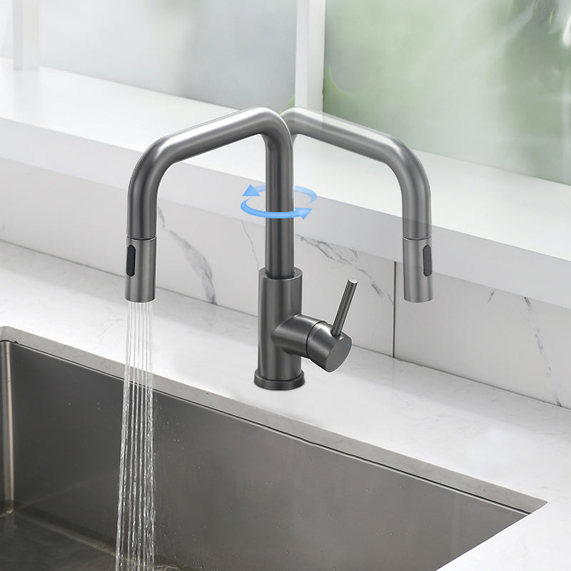 Modern Pull Out Single Rotary Switch Kitchen Faucet High Profile Faucet