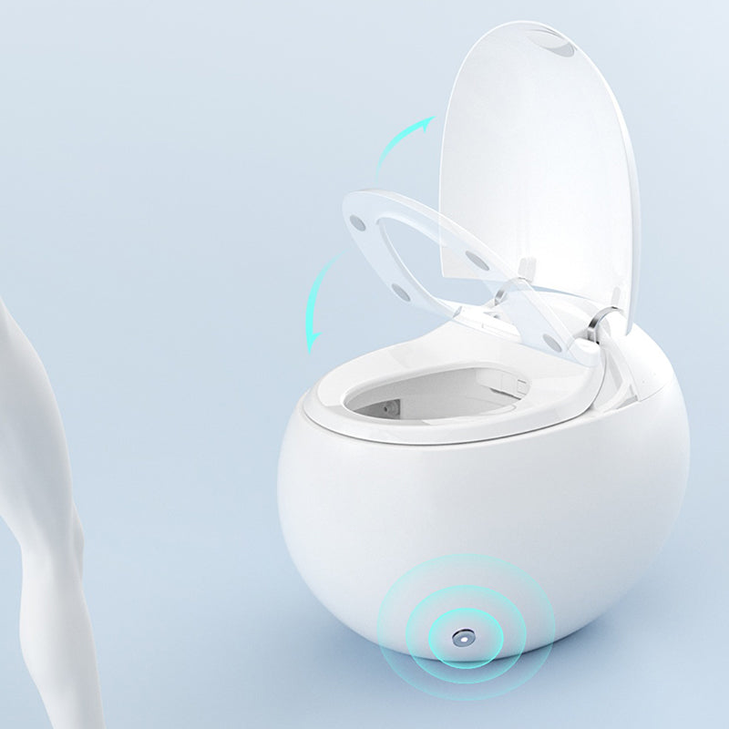 Elongated Floor Mount Bidet Egg Shaped Antimicrobial Smart Bidet