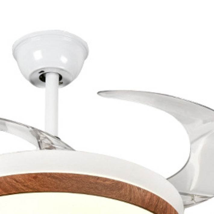 Retractable Ceiling Fan Contemporary LED Fan Light Fixture in White & Brown