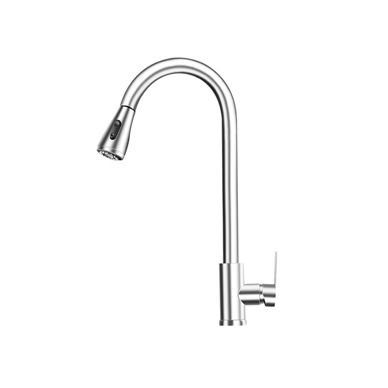 Pull Out Kitchen Faucet Single Handle Faucet with Pull Out Sprayer