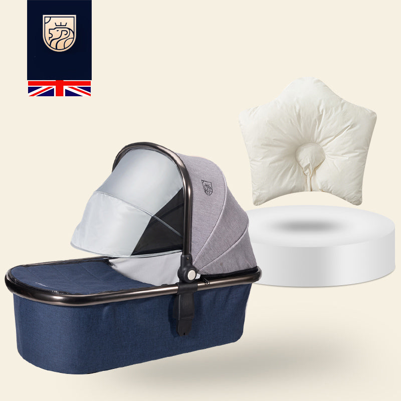 Contemporary Portable Bassinet with Metal Canopy for Newborn