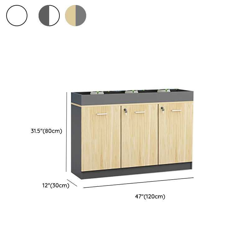 Contemporary Style File Cabinet Wooden Frame Lock Storage Filing Cabinet