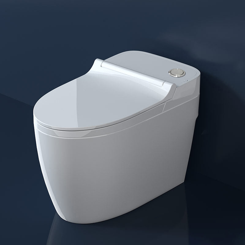 Elongated Floor Mount Bidet Vitreous China Bidet without Water Pressure Control