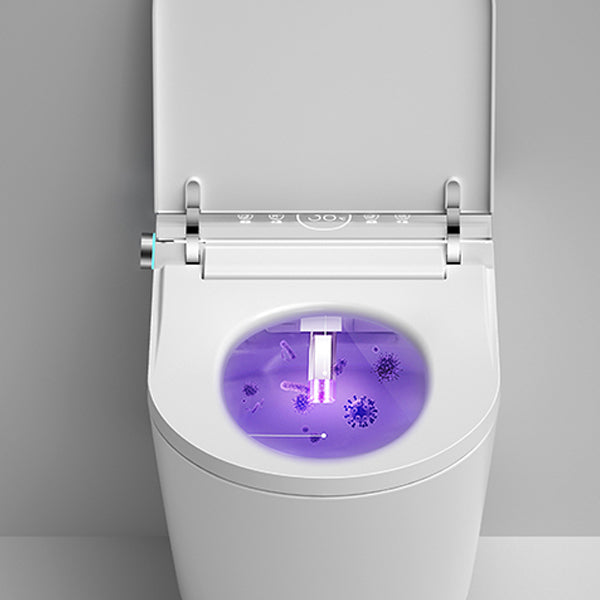 Dual Flush Wall Hung Toilet Set Elongated Wall Mounted Bidet