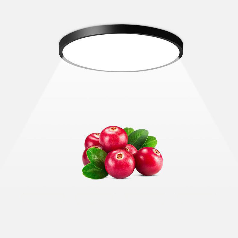 Modern Metal Flush Mount Circle Shape Ceiling Light with Plastic Shade for Study