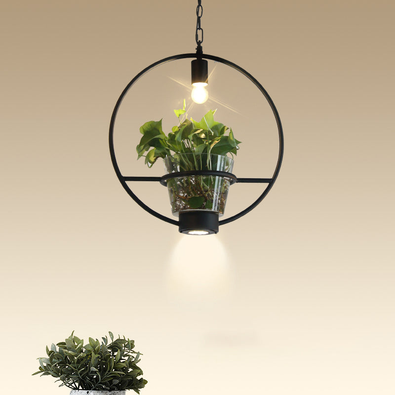 Black 1 Light Down Lighting Industrial Iron Circular/Rectangular Cage Drop Pendant with Clear Glass Plant Pot