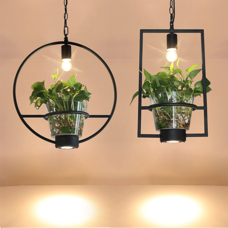 Black 1 Light Down Lighting Industrial Iron Circular/Rectangular Cage Drop Pendant with Clear Glass Plant Pot