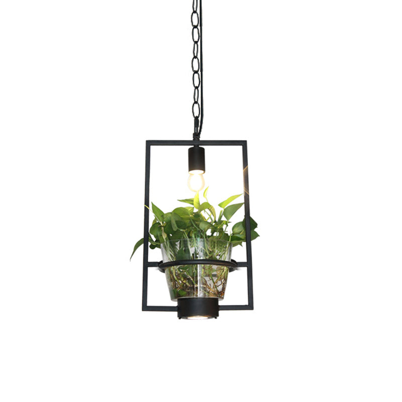 Black 1 Light Down Lighting Industrial Iron Circular/Rectangular Cage Drop Pendant with Clear Glass Plant Pot