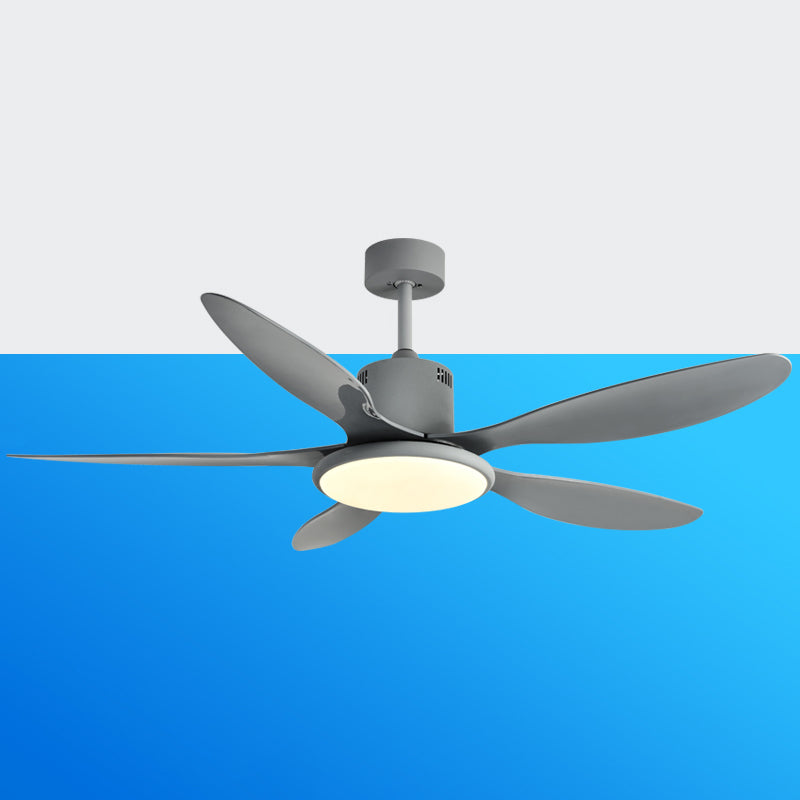 Minimalism LED Ceiling Fan 5-Blade Fan Lighting for Dining Room