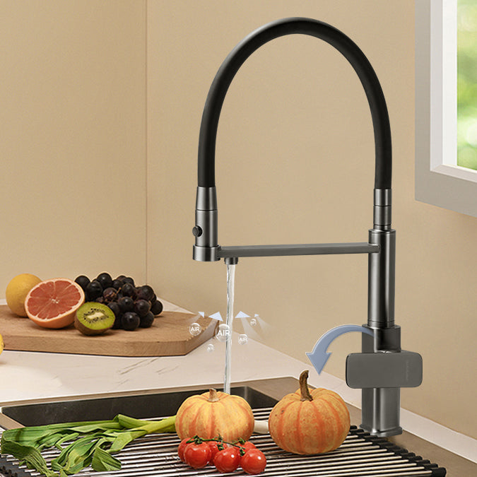 Swivel Spout Kitchen Sink Faucet High Arc with Pull Down Sprayer